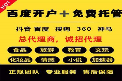 百度竞价广告在旅游行业的应用案例